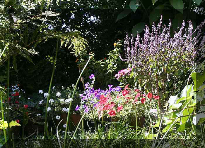 blumen2-700