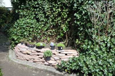 ngartenbau3 ngartenbau3