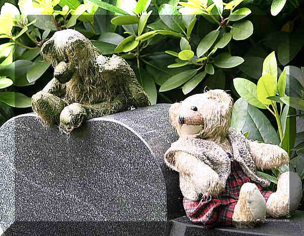 teddybaeren02 teddybaeren02